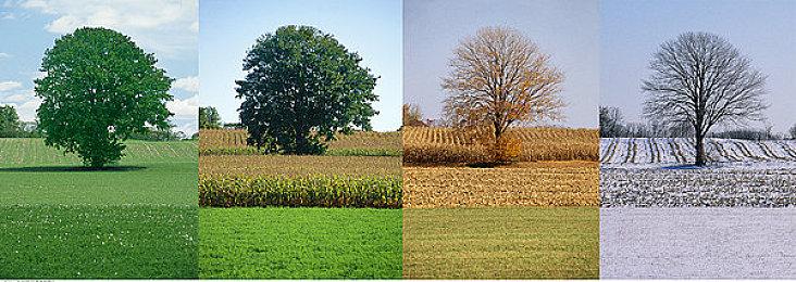 Xbox Ally X卖1000美元 Xbox称自己没有定价权