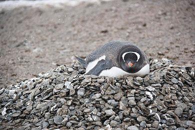 前《黑色洛城》开发者正在制作1940年代背景新作