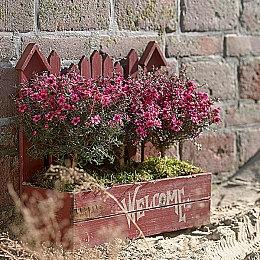 美女摔跤新作《暴力塞壬》公布 搏击玫瑰精神续作